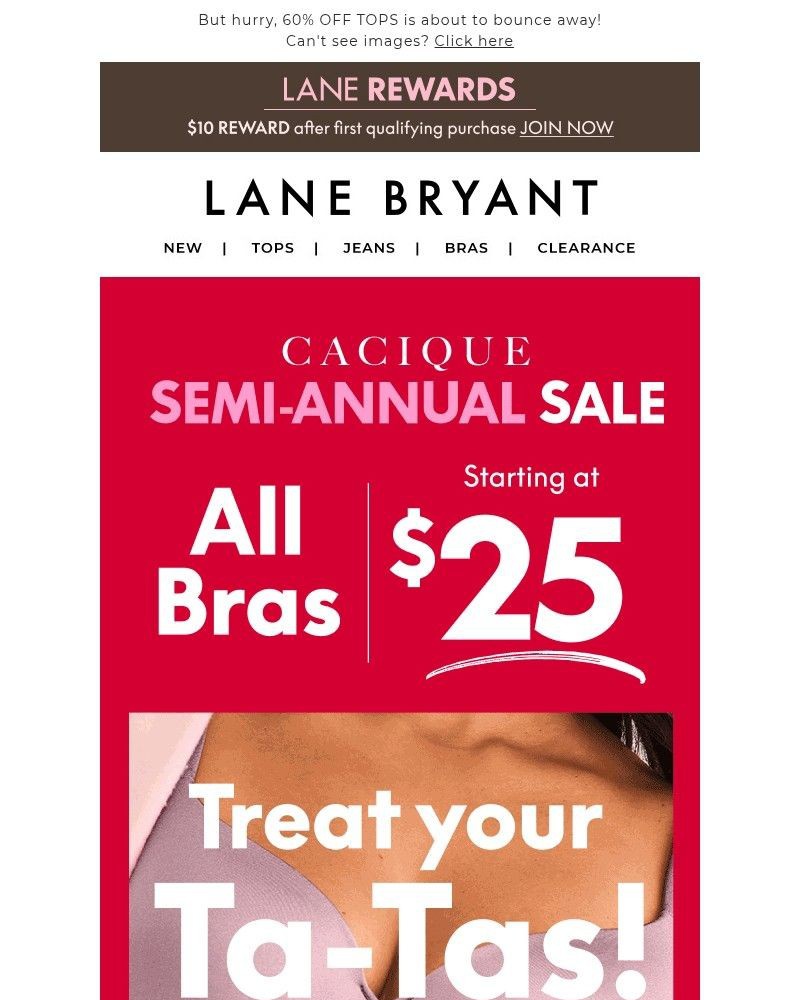 Screenshot of email sent to a Lane Bryant Newsletter subscriber