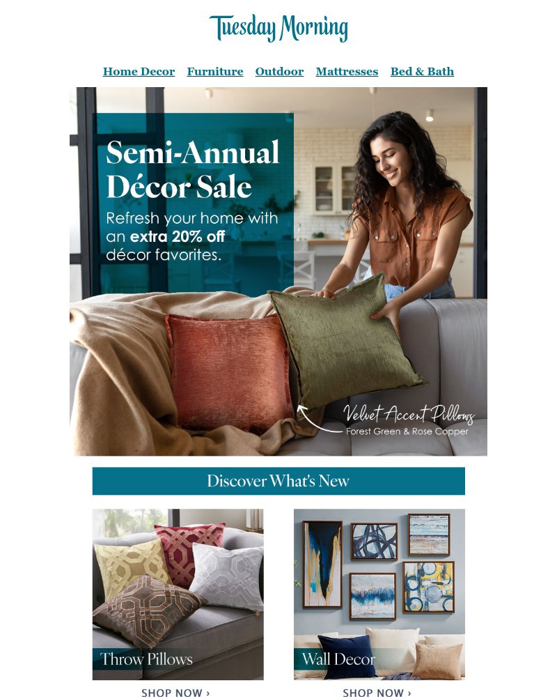 Screenshot of email with subject /media/emails/semi-annual-sale-mirrors-rugs-moreextra-20-off-cf183f-cropped-2d6b5754.jpg