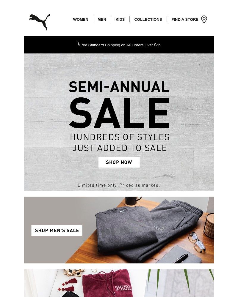 Screenshot of email with subject /media/emails/semi-annual-sale-starts-now-60dd73-cropped-40707cb6.jpg
