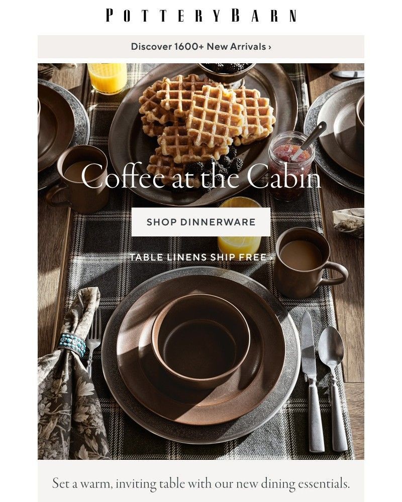 Screenshot of email with subject /media/emails/serve-in-style-new-dining-essentials-6aa8b1-cropped-ea0e2827.jpg