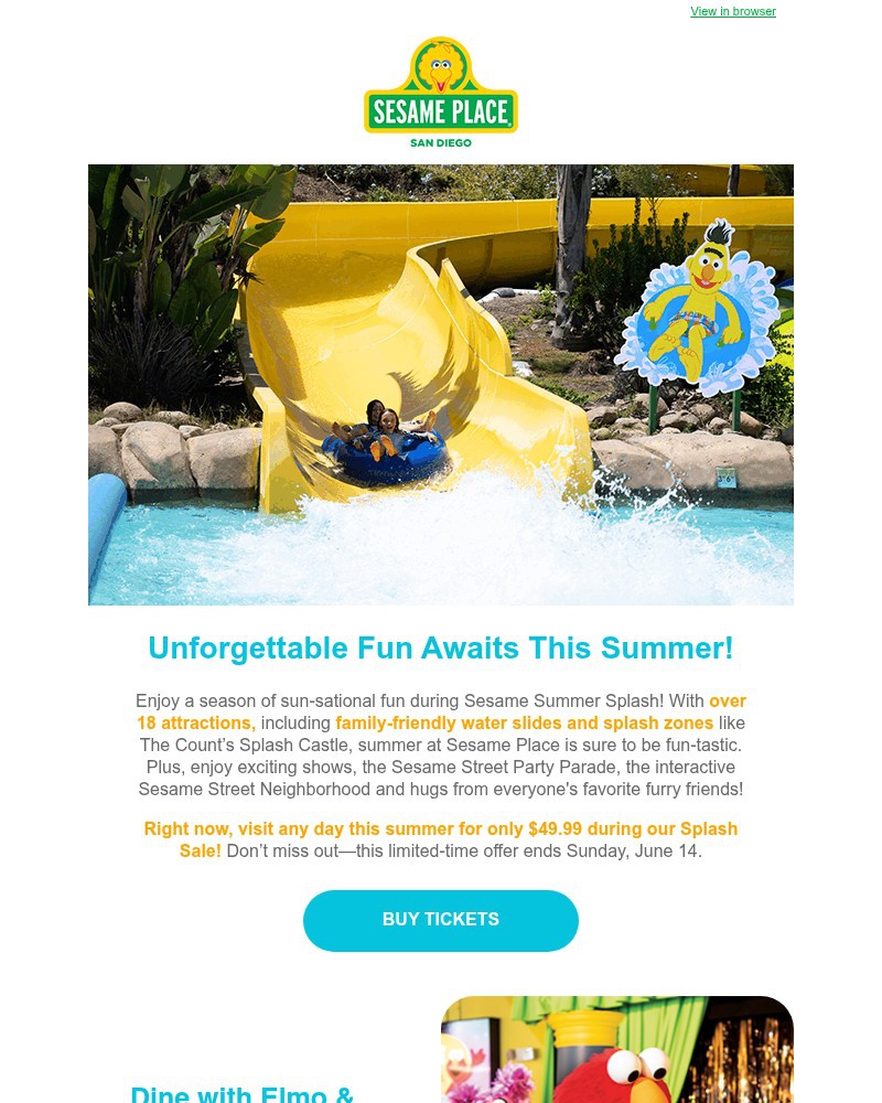 Screenshot of email sent to a Sea World Newsletter subscriber