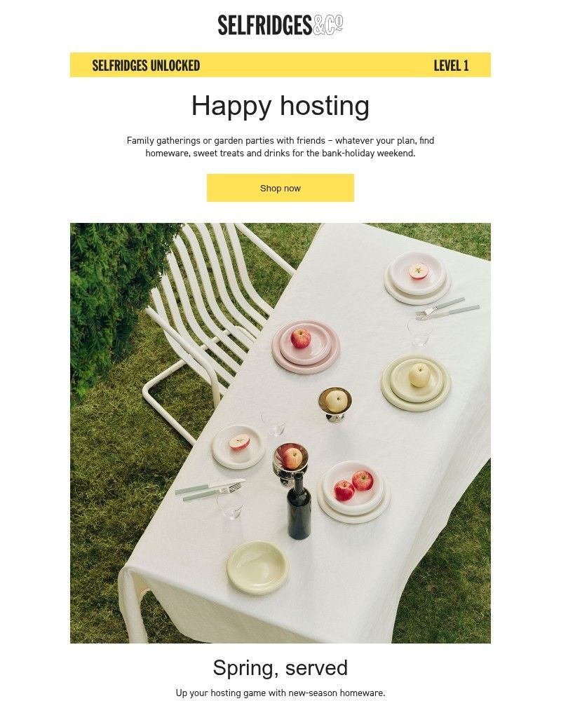 Screenshot of email sent to a Selfridges Newsletter subscriber