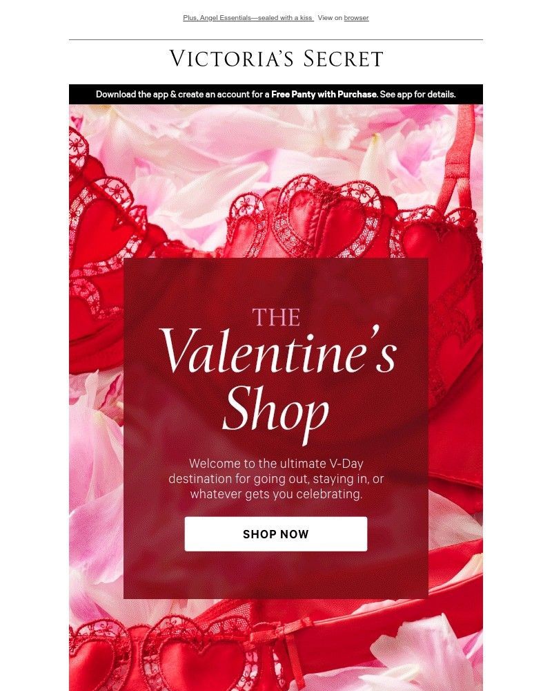 Screenshot of email with subject /media/emails/set-your-heart-on-new-v-day-styles-e249a6-cropped-641f8a5d.jpg