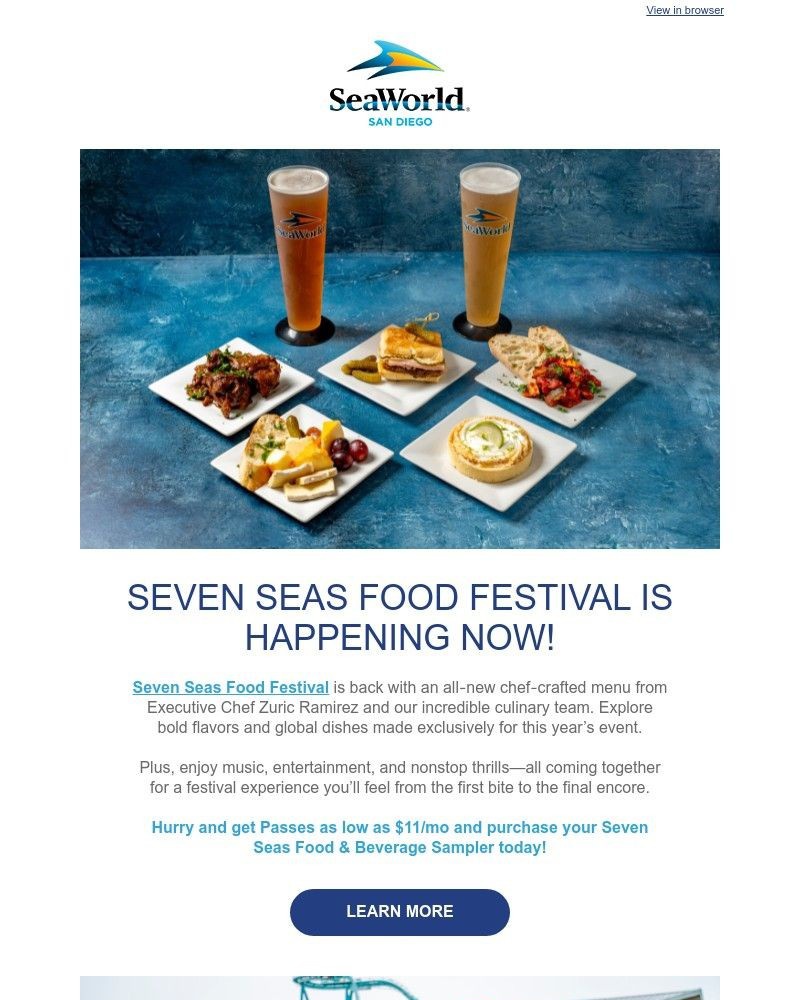 Screenshot of email sent to a Sea World Newsletter subscriber