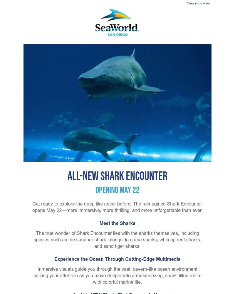 Screenshot of email with subject /media/emails/shark-encounter-opens-may-22-0148e7-cropped-fd555d14.jpg