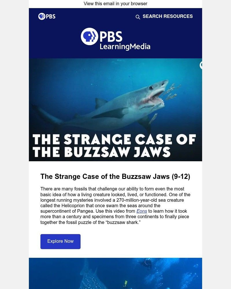 Screenshot of email with subject /media/emails/shark-week-starts-in-the-classroom-19a38f-cropped-76a4f19f.jpg