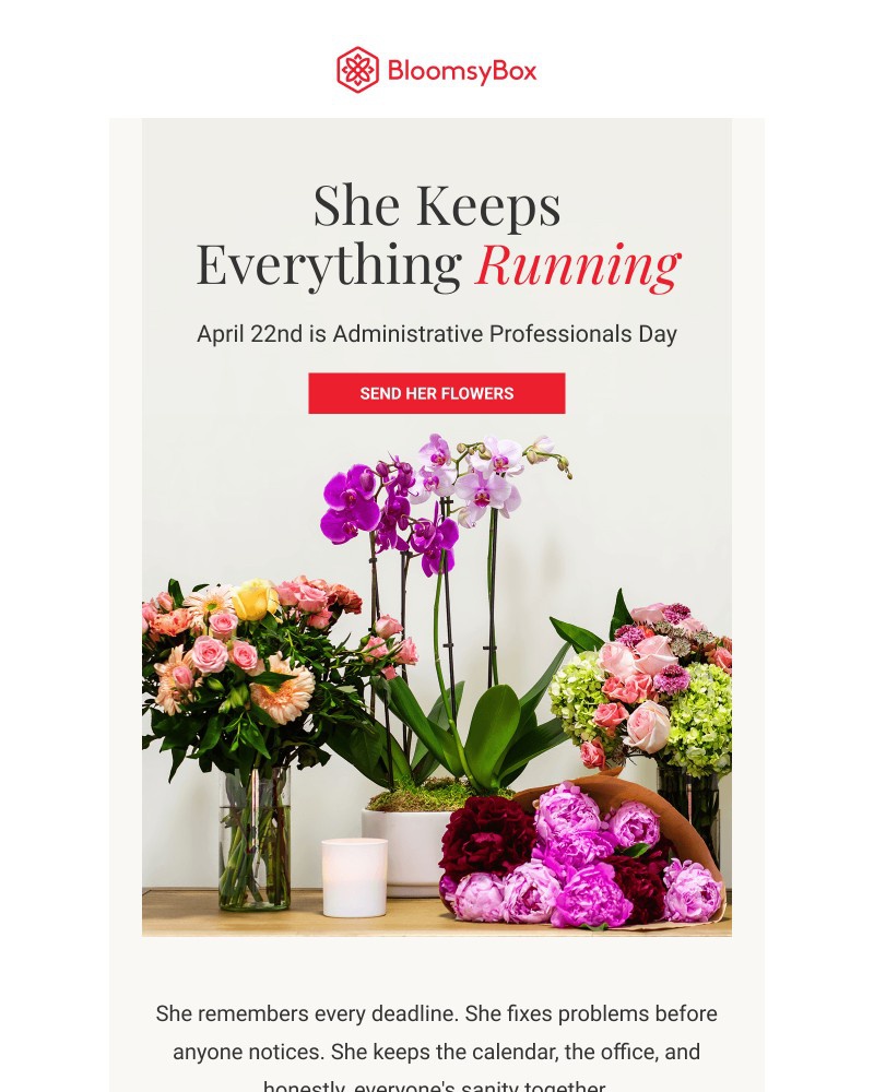 Screenshot of email sent to a Chococurb Newsletter subscriber