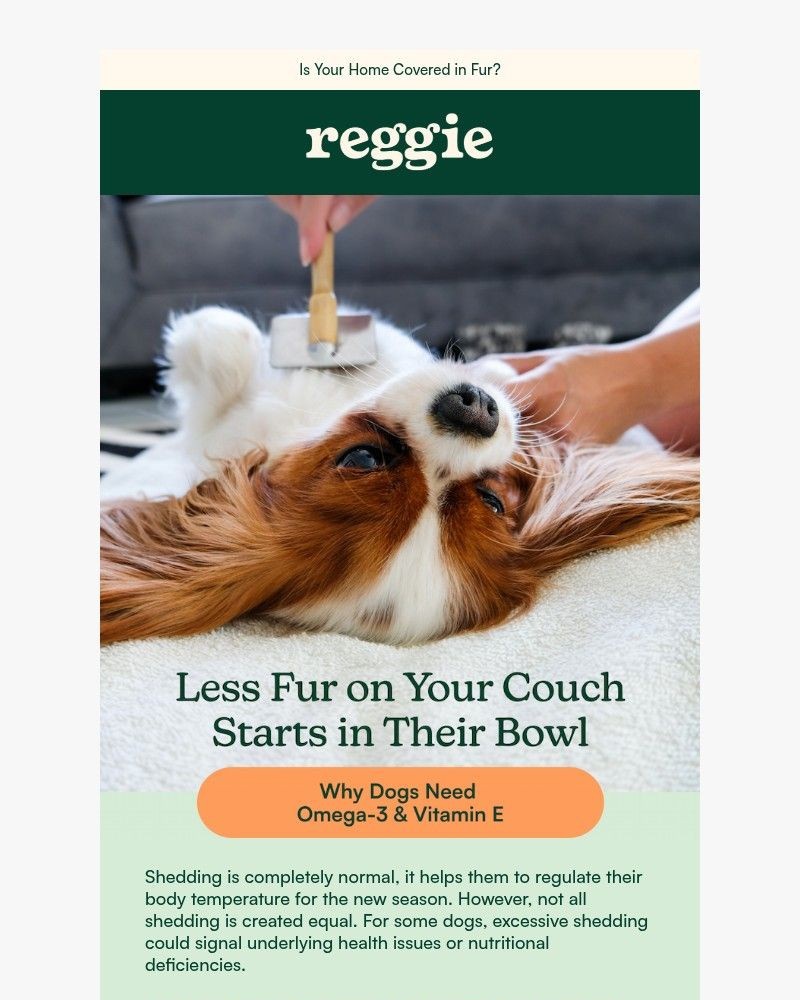 Screenshot of email sent to a reggie Newsletter subscriber