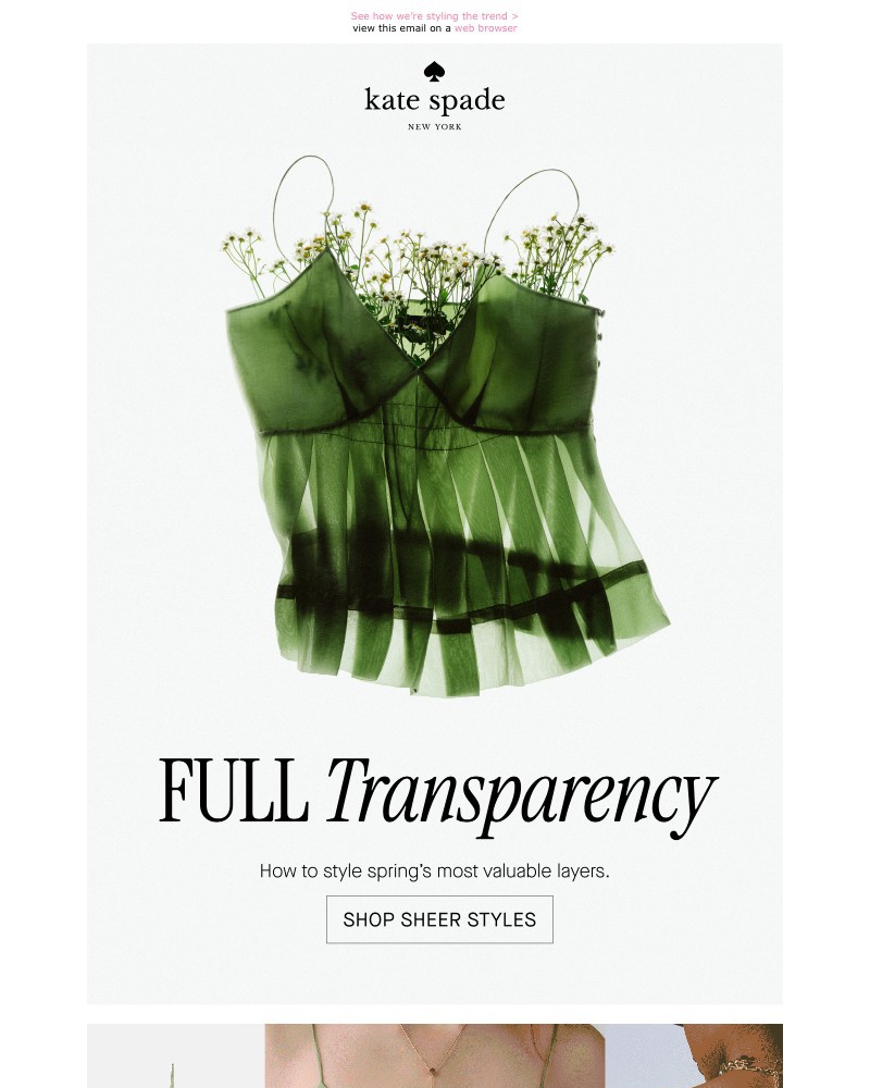 Screenshot of email with subject /media/emails/sheer-perfection-these-spring-styles-6a67c0-cropped-3ba79953.jpg