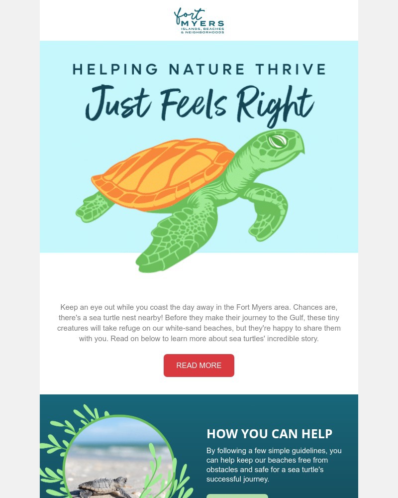 Screenshot of email with subject /media/emails/shell-ebrating-world-turtle-day-25f2cc-cropped-7ae9d7aa.jpg