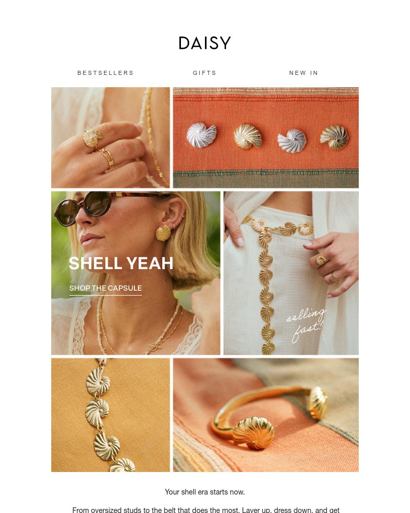 Screenshot of email with subject /media/emails/shell-we-488d72-cropped-38ea81f0.jpg