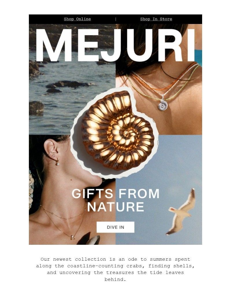 Screenshot of email with subject /media/emails/shell-yeah-05df97-cropped-02ae48e8.jpg