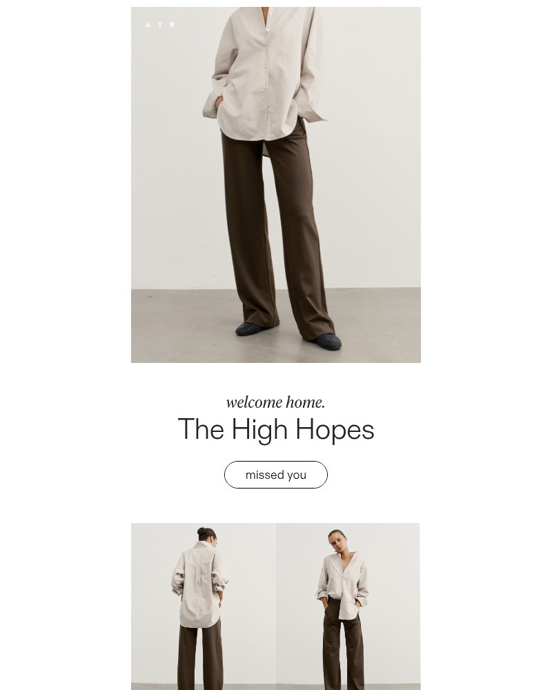 Screenshot of email sent to a AYR Newsletter subscriber