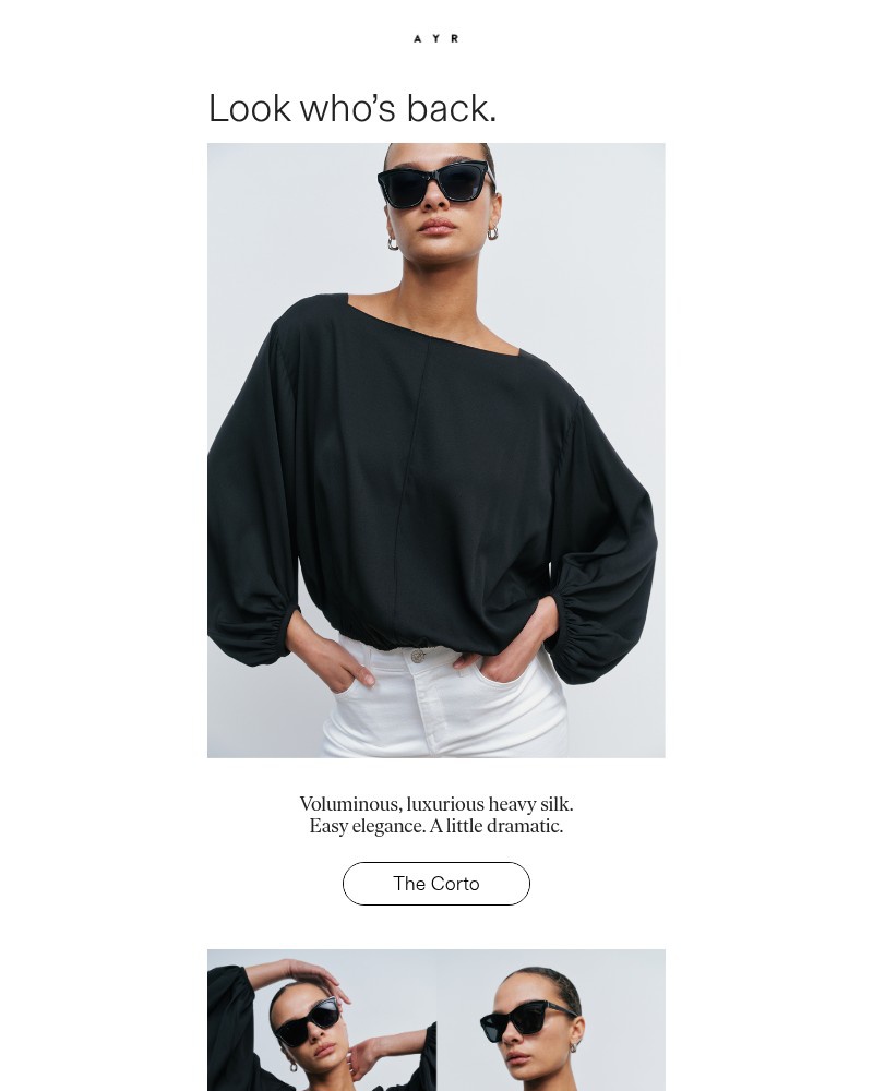 Screenshot of email sent to a AYR Newsletter subscriber