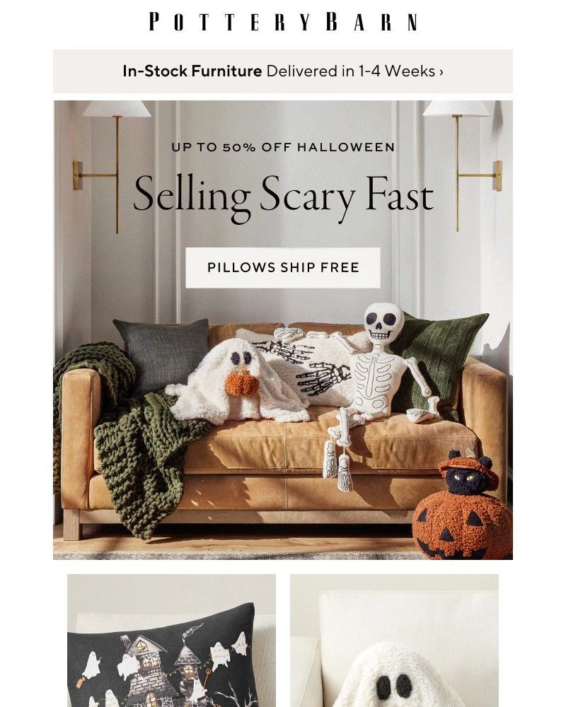 Screenshot of email with subject /media/emails/ships-free-new-halloween-pillows-d7ac75-cropped-560c0eea.jpg