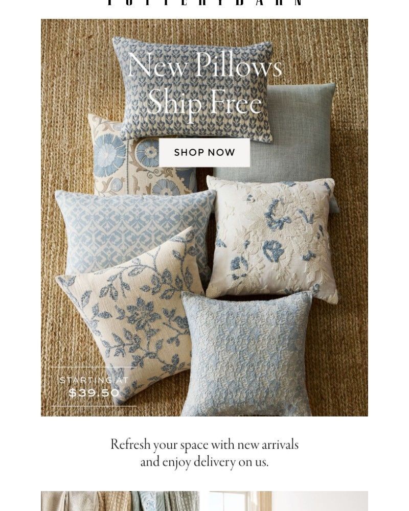 Screenshot of email with subject /media/emails/ships-free-new-pillows-be2594-cropped-db66fc7a.jpg