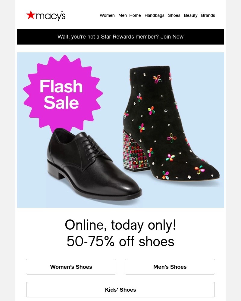 Screenshot of email with subject /media/emails/shoe-flash-sale-50-70-off-ends-tonight-dec2e6-cropped-f8bb3cbb.jpg