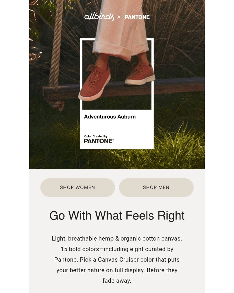 Screenshot of email sent to a Allbirds Newsletter subscriber