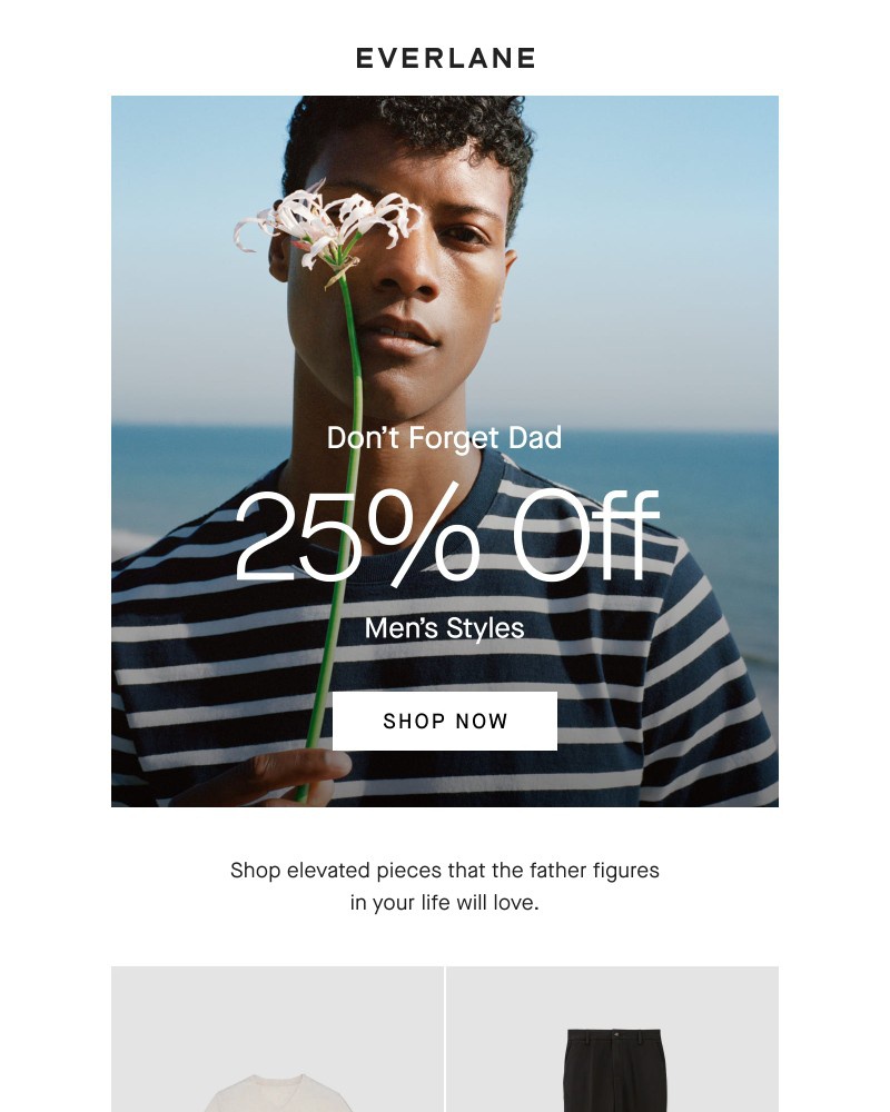 Screenshot of email with subject /media/emails/shop-25-off-mens-styles-d2633b-cropped-47eeeda8.jpg