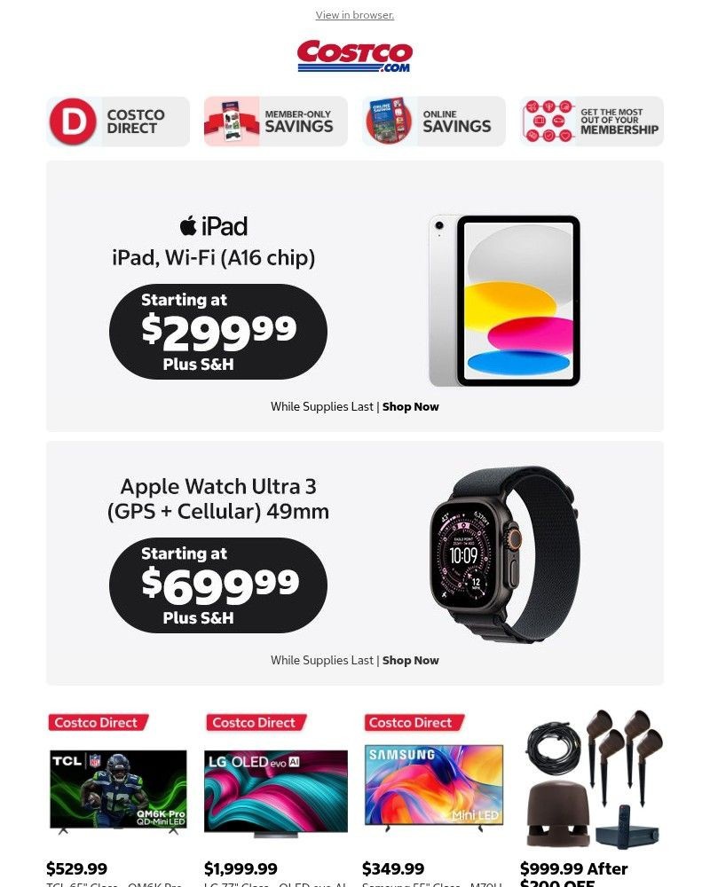 Screenshot of email sent to a Costco Newsletter subscriber
