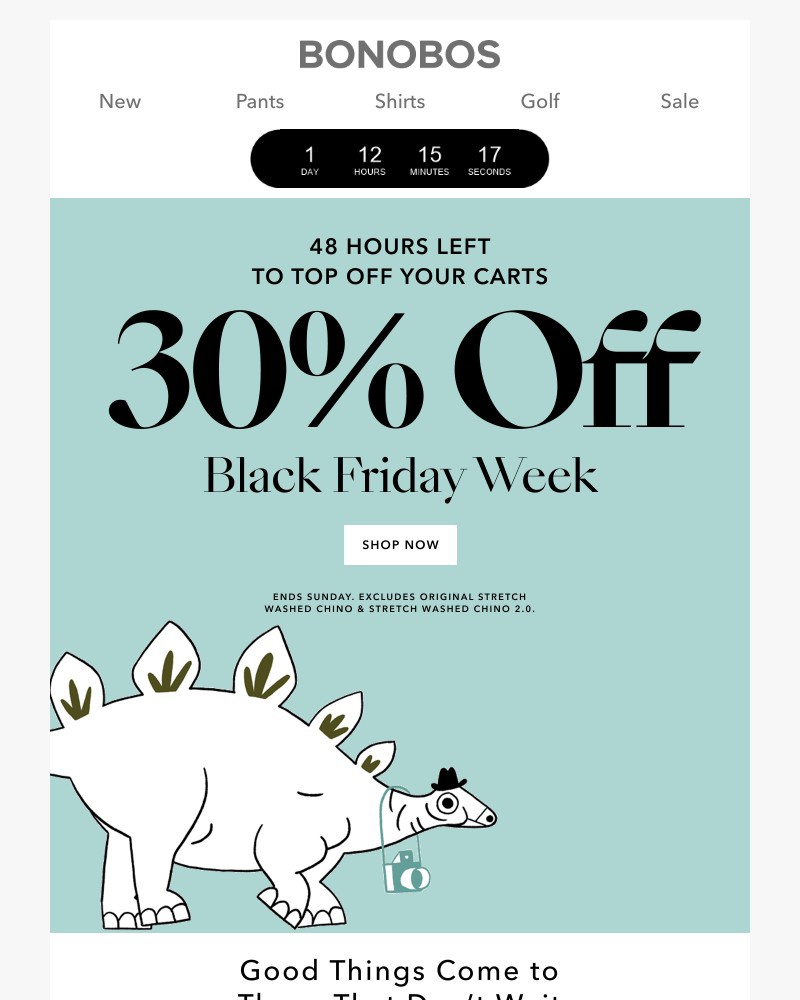 Screenshot of email with subject /media/emails/shop-fast-48-hours-left-for-30-off-black-friday-e4443c-cropped-df717da5.jpg