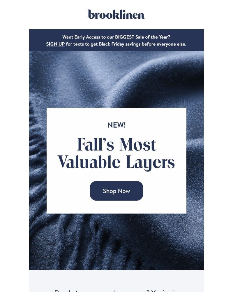 Screenshot of email with subject /media/emails/shop-new-layers-for-fall-07e4b6-cropped-cbb9d26b.jpg