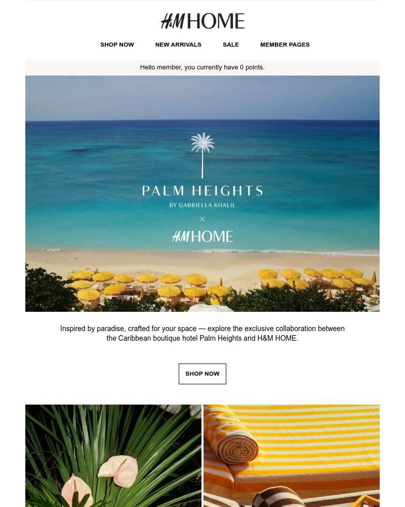 Screenshot of email with subject /media/emails/shop-now-palm-heights-x-hm-home-64238d-cropped-b5e97387.jpg