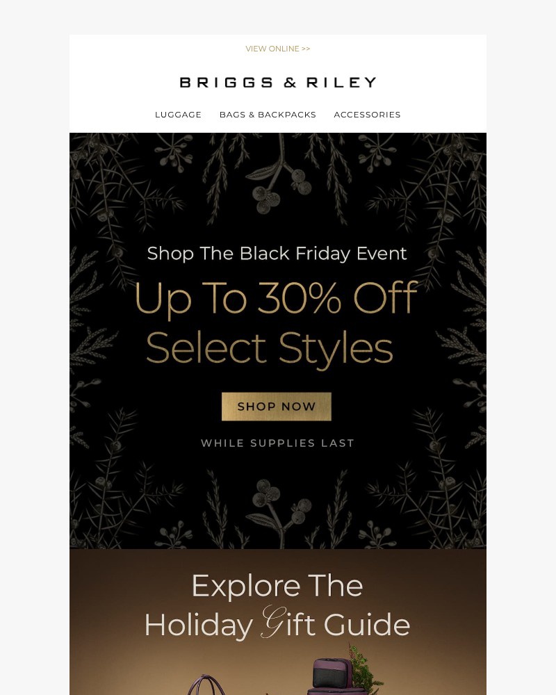 Screenshot of email with subject /media/emails/shop-our-biggest-sale-of-the-year-26e4a0-cropped-a273183a.jpg