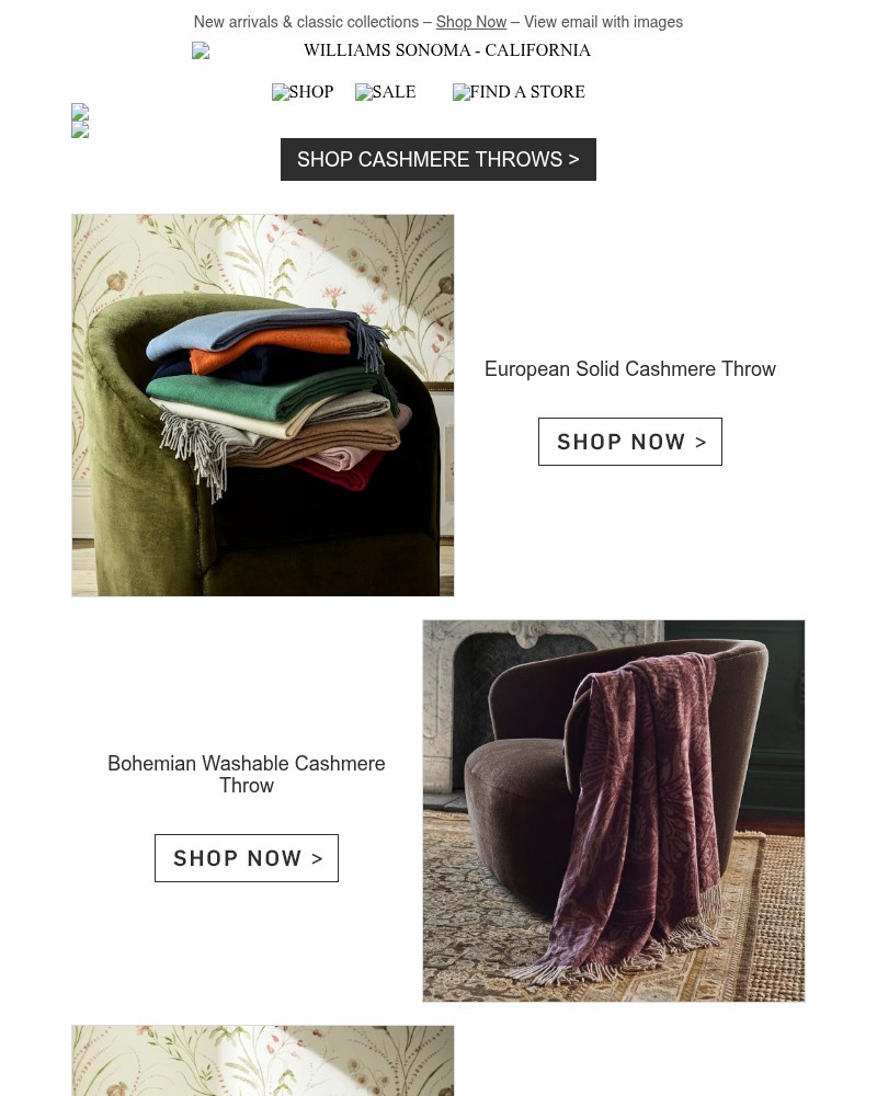 Screenshot of email with subject /media/emails/shop-our-most-popular-cashmere-throws-515174-cropped-f144a3ef.jpg