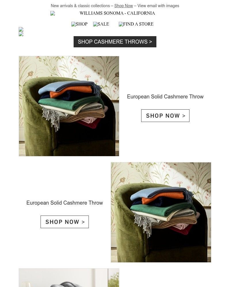 Screenshot of email with subject /media/emails/shop-our-most-popular-cashmere-throws-d76ba7-cropped-5792cb17.jpg