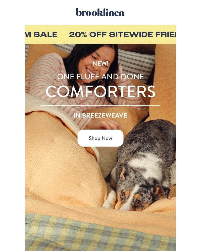 Screenshot of email with subject /media/emails/shop-our-new-one-and-done-comforterin-breezeweave-0815fb-cropped-c7b85912.jpg