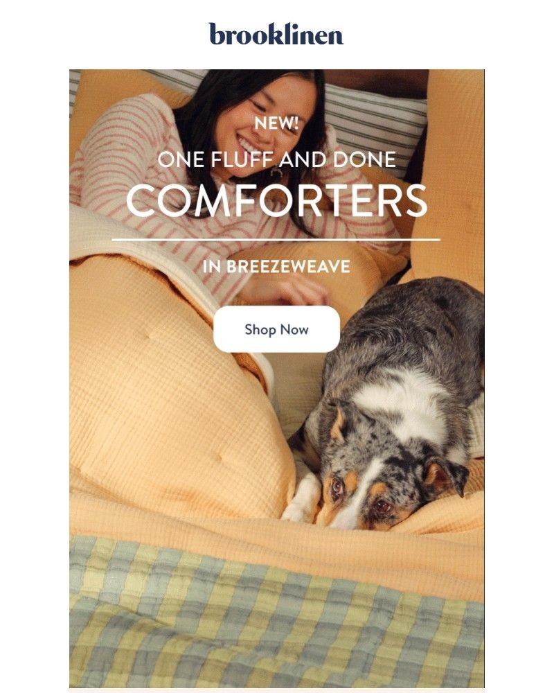Screenshot of email with subject /media/emails/shop-our-new-one-fluff-and-done-comforterin-breezeweave-ce60ad-cropped-a9a6507e.jpg