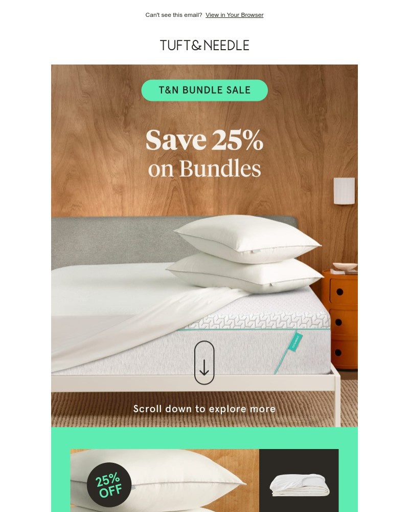 Screenshot of email with subject /media/emails/shop-save-with-our-basics-bundle-be0f0e-cropped-974dacd5.jpg