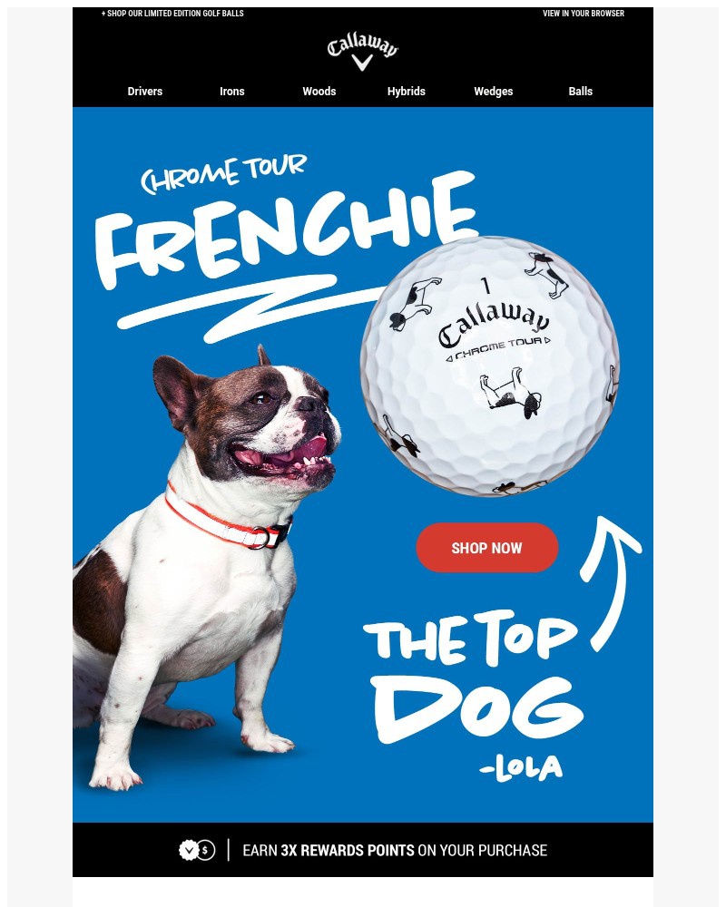 Screenshot of email with subject /media/emails/shop-the-top-dog-chrome-tour-frenchie-2fe572-cropped-8d609468.jpg