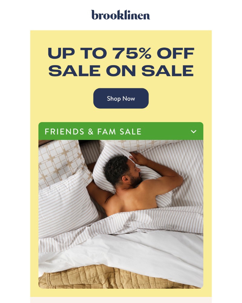 Screenshot of email with subject /media/emails/shop-up-to-75-off-sale-on-sale-e43335-cropped-25d316be.jpg