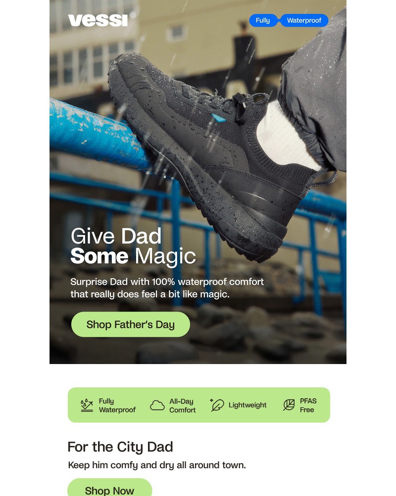 Screenshot of email with subject /media/emails/show-dad-you-get-him-1d9923-cropped-3454e2d1.jpg