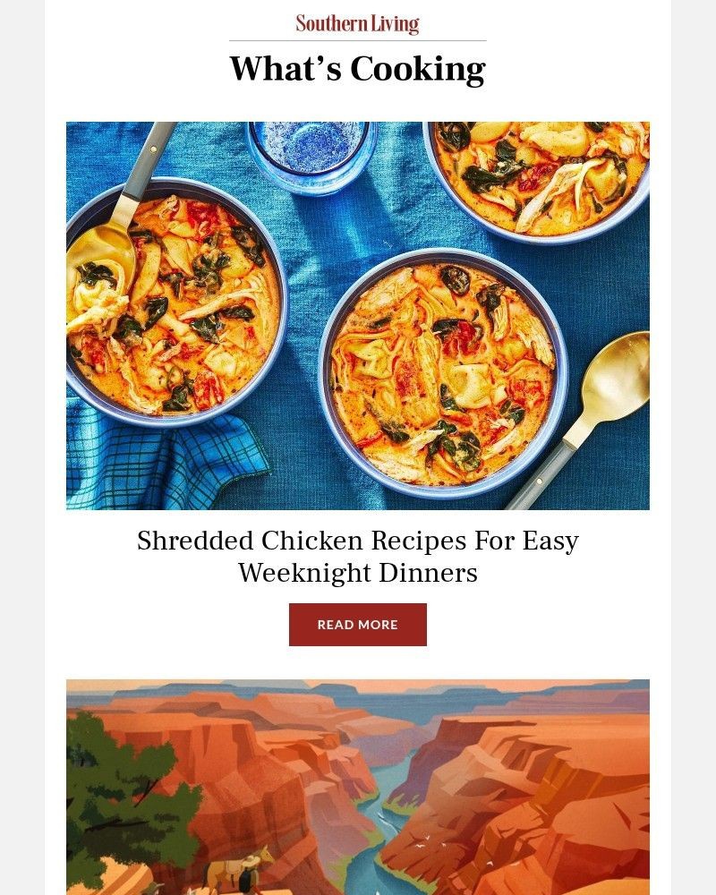Screenshot of email with subject /media/emails/shredded-chicken-recipes-for-easy-weeknight-dinners-fda6bd-cropped-6346620a.jpg