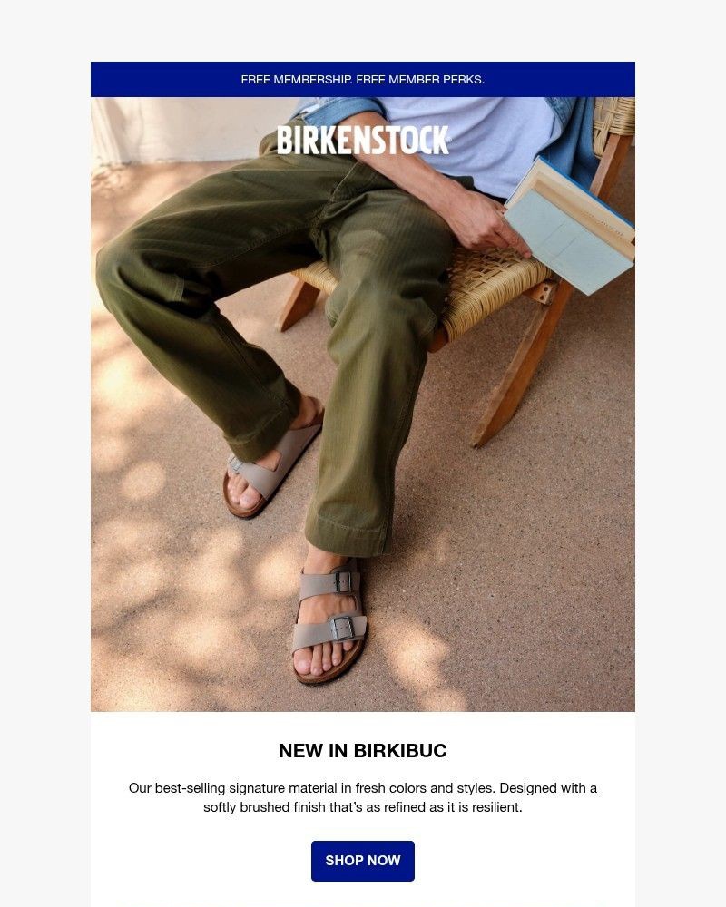 Screenshot of email with subject /media/emails/signature-birkibuc-new-colors-and-styles-5a46bc-cropped-cfbf6c63.jpg