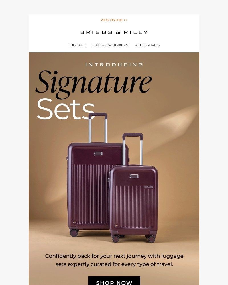 Screenshot of email with subject /media/emails/signature-luggage-sets-have-arrived-863239-cropped-43c439ba.jpg