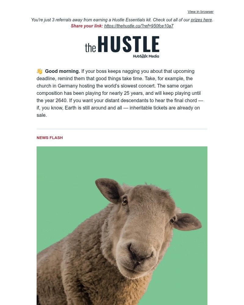 Screenshot of email sent to a The Hustle Newsletter subscriber