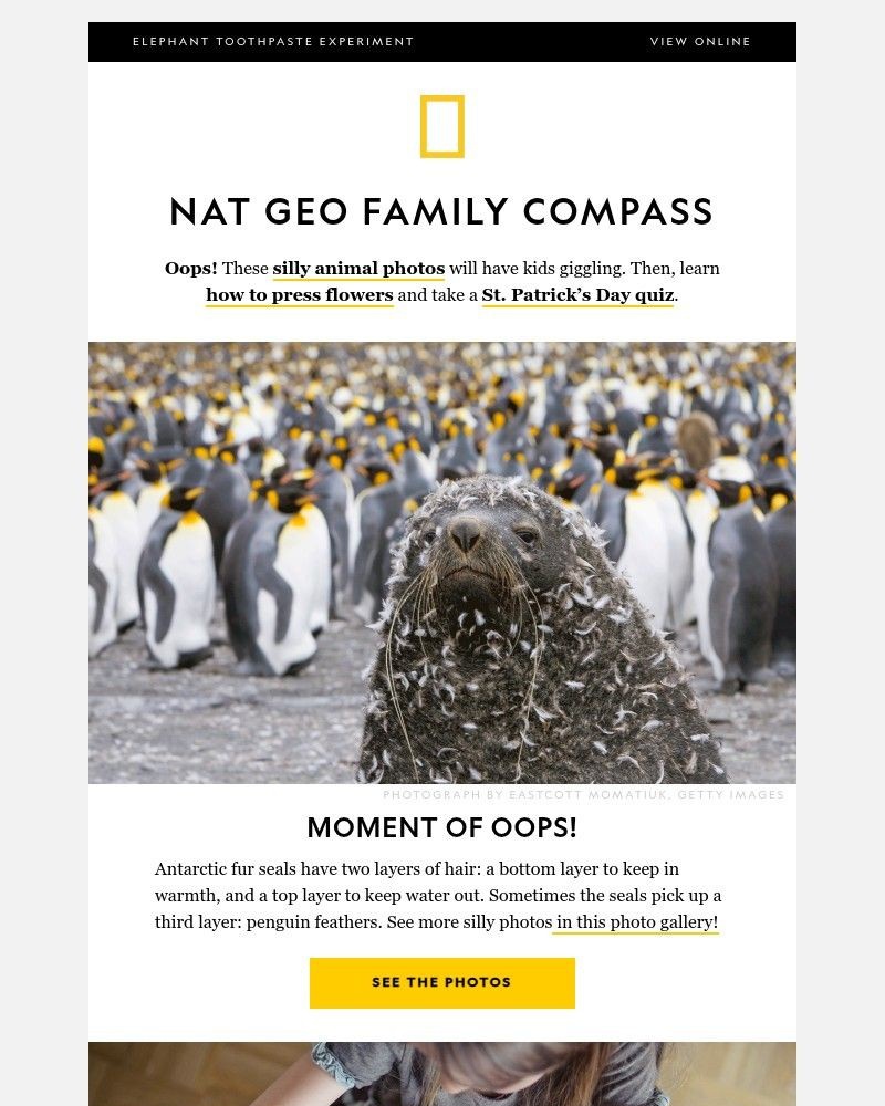 Screenshot of email sent to a National Geographic Newsletter subscriber