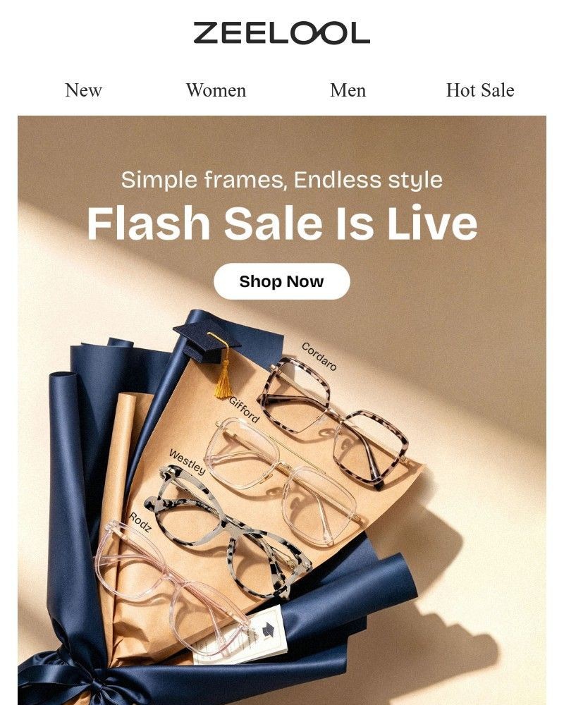 Screenshot of email with subject /media/emails/simple-frames-endless-style-c90aaa-cropped-4c287078.jpg