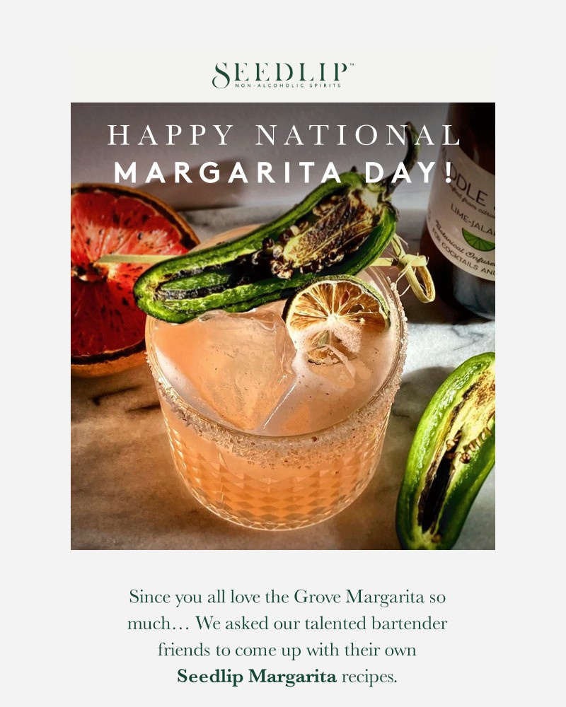 Screenshot of email sent to a Seedlip Newsletter subscriber