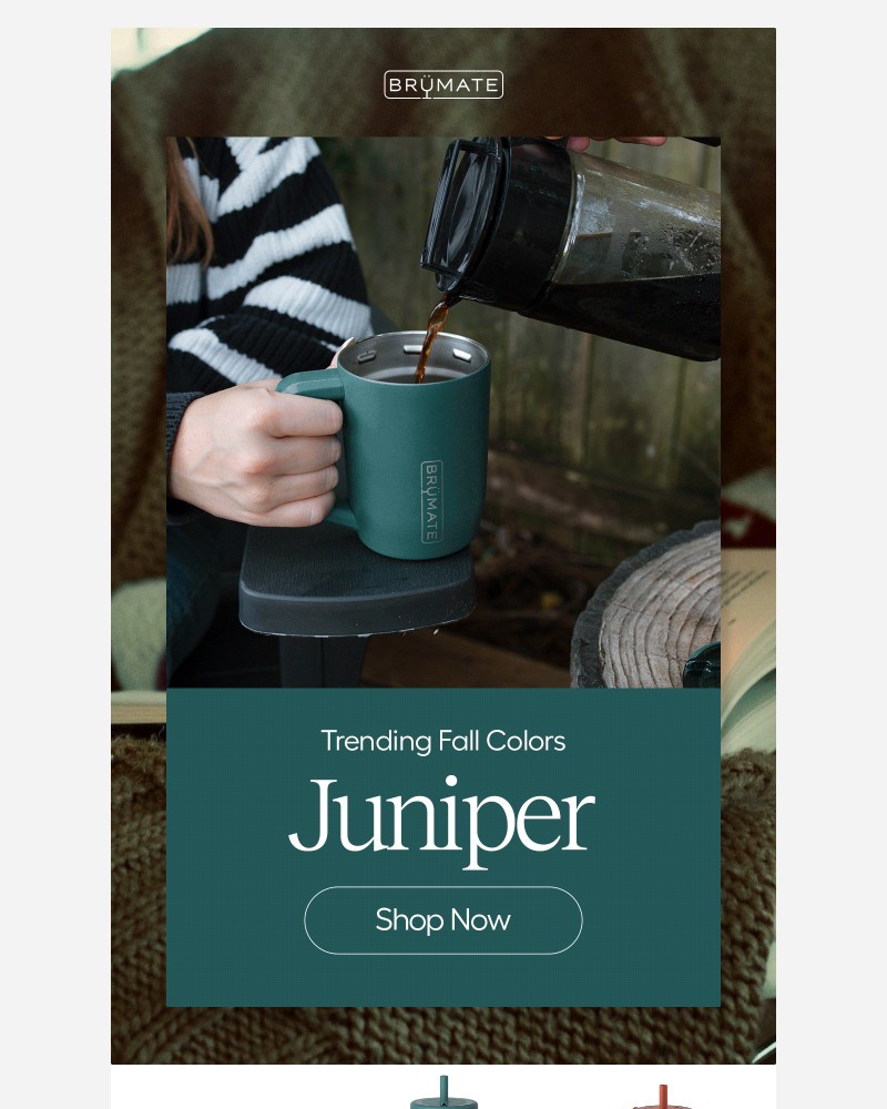 Screenshot of email with subject /media/emails/sip-whats-in-50fb69-cropped-17af1b1a.jpg