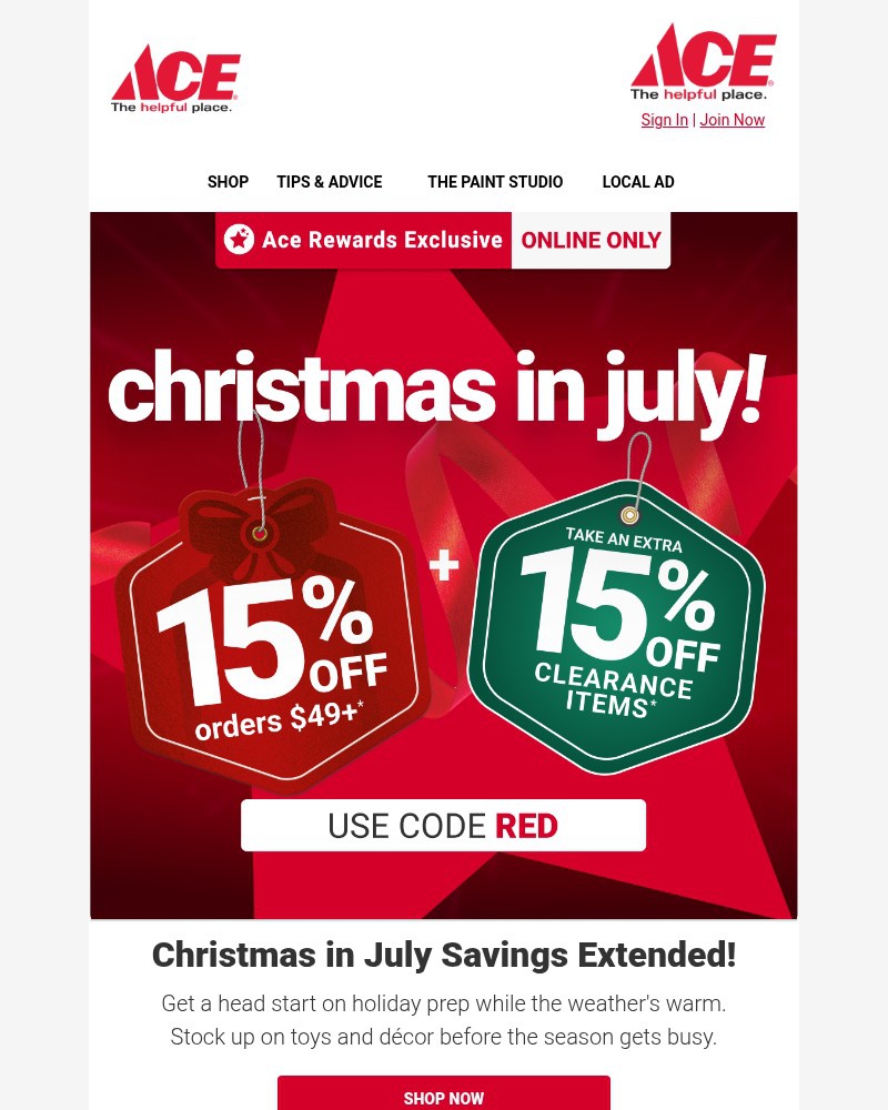 Screenshot of email sent to a Ace Hardware Newsletter subscriber