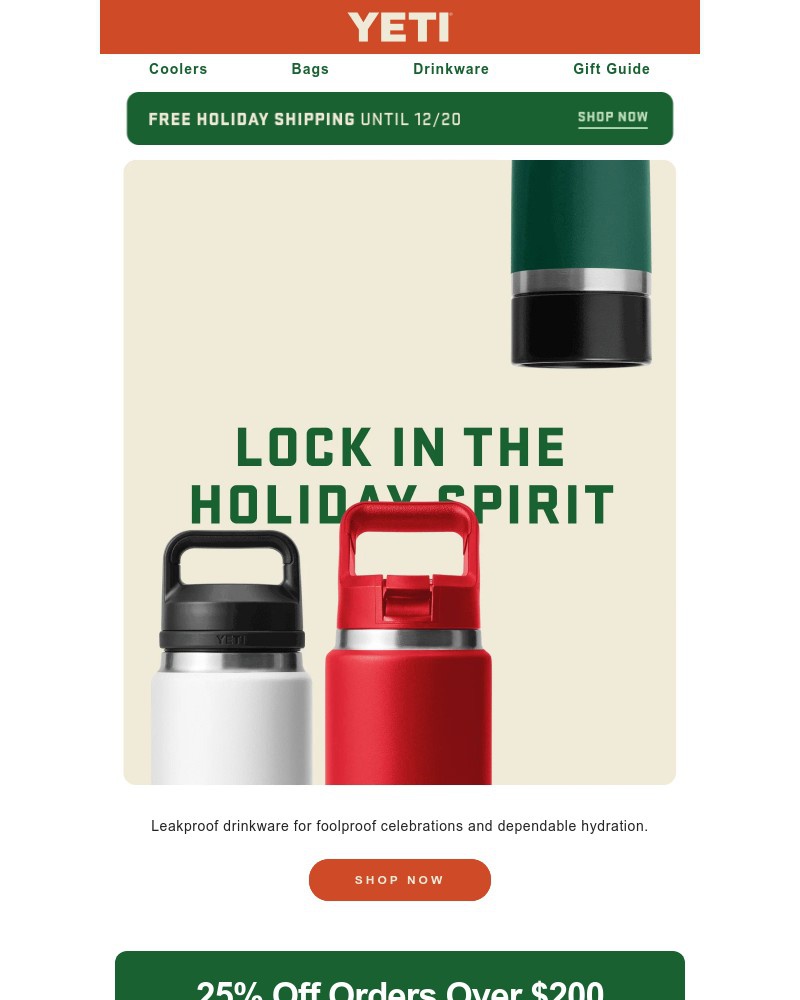 Screenshot of email sent to a Yeti Newsletter subscriber