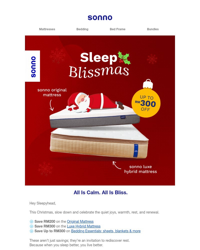 Screenshot of email sent to a Sonno Newsletter subscriber