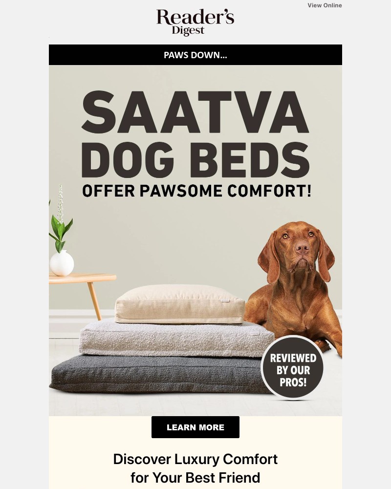 Screenshot of email with subject /media/emails/sleep-like-a-human-nap-like-a-pup-bc6ecb-cropped-afe00a01.jpg