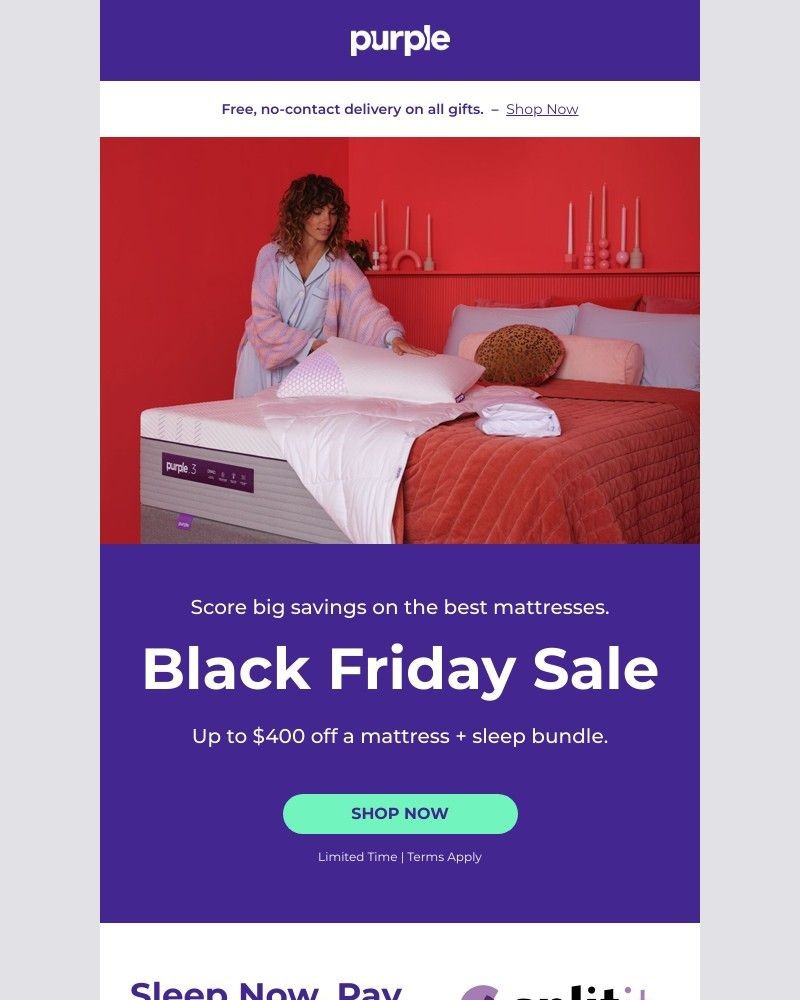 Screenshot of email with subject /media/emails/sleep-now-pay-through-next-thanksgiving-c2da75-cropped-8bd598ce.jpg