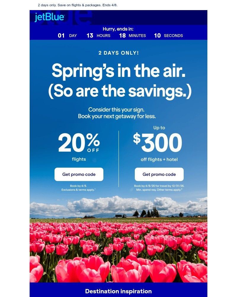 Screenshot of email sent to a JetBlue Registered user